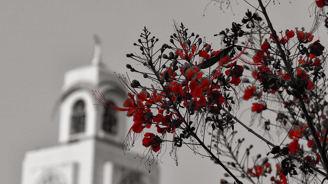 BITS Pilani (Birla Institute of Technology and Science)