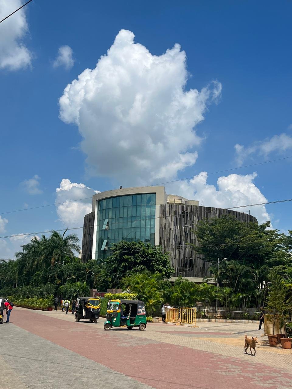 Kalinga Institute of Industrial Technology (KIIT)