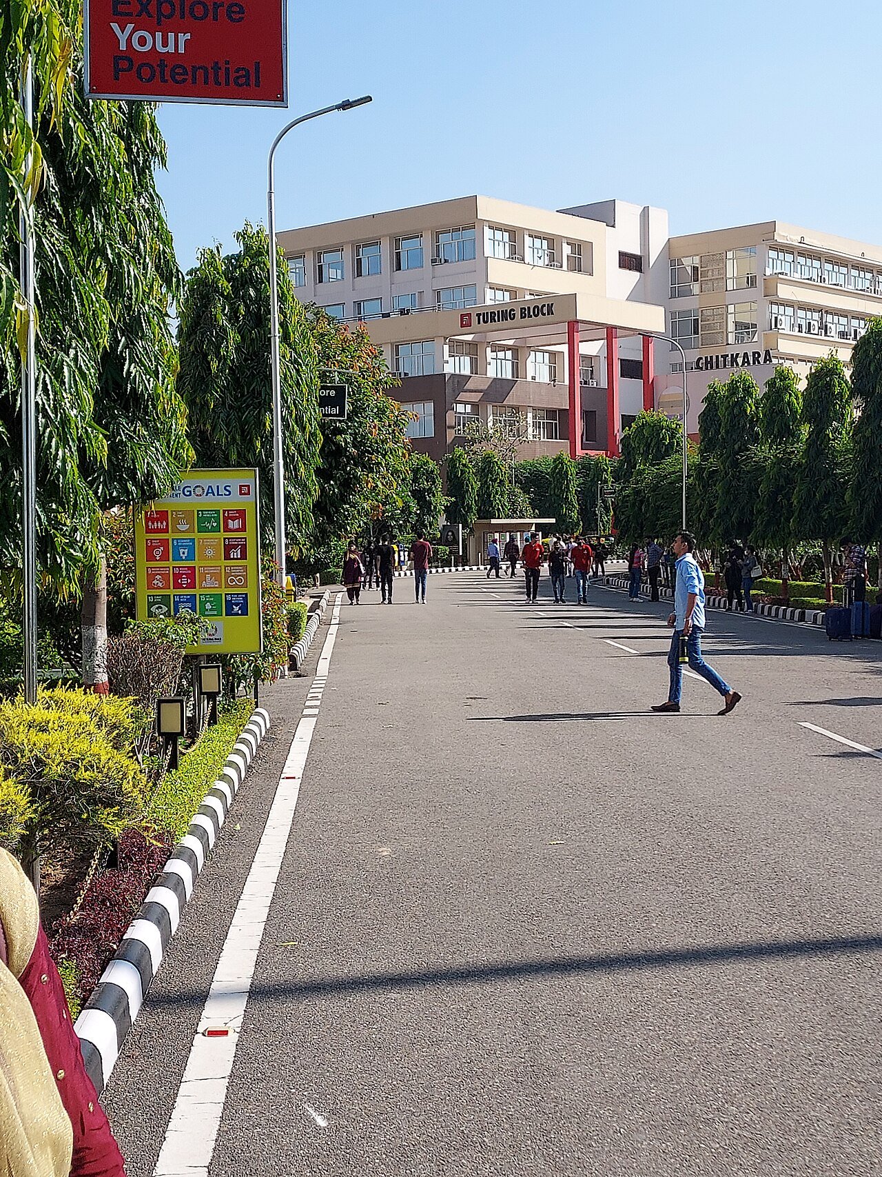 Chitkara University