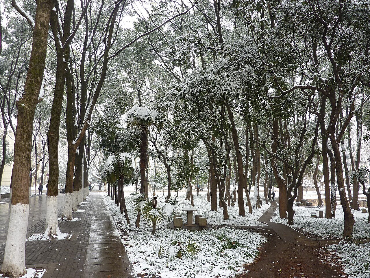 Huazhong University of Science and Technology (HUST)