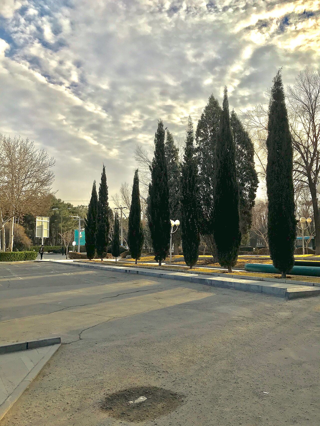 Isfahan University of Medical Sciences
