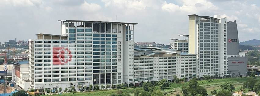 Management and Science University (MSU)