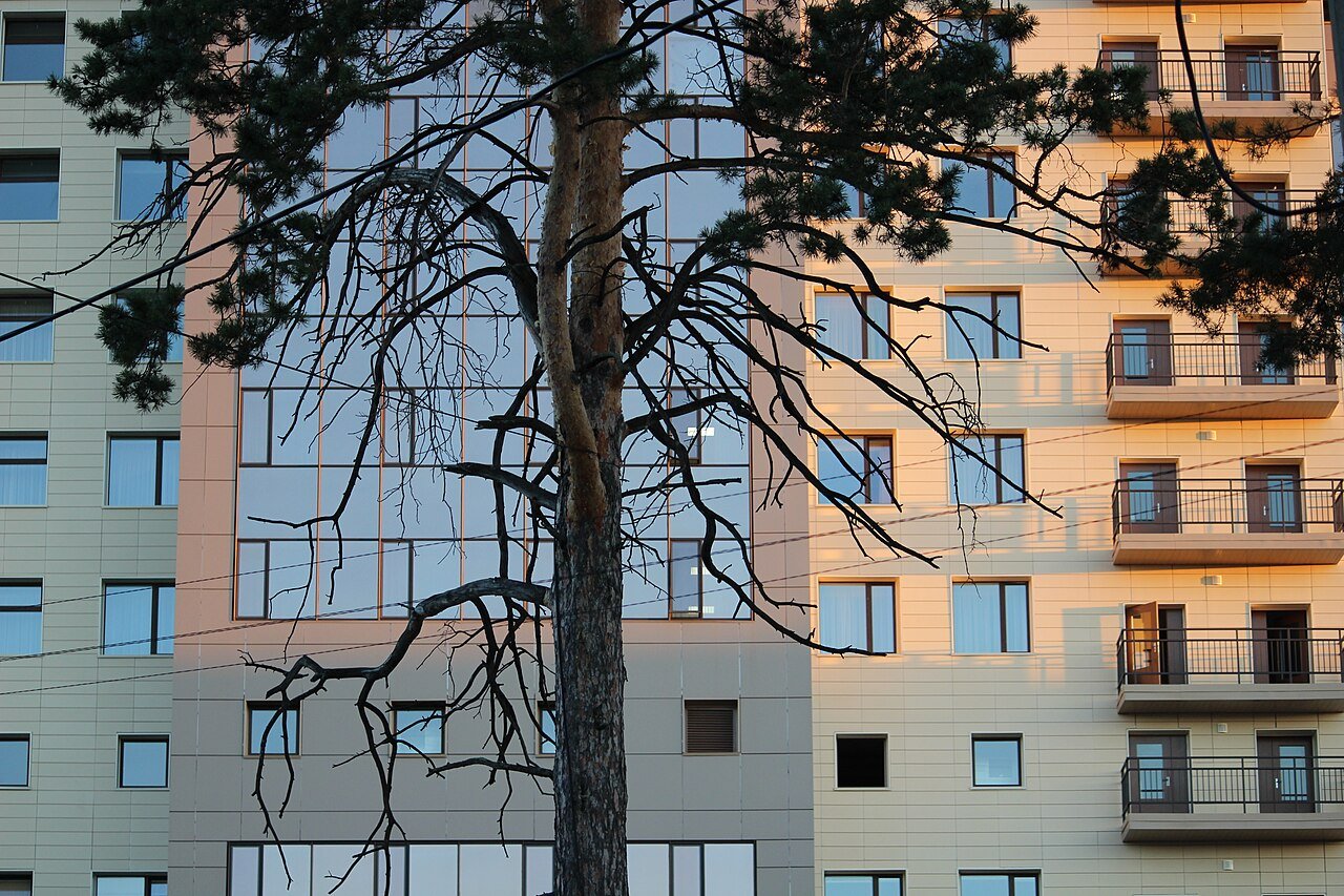 Novosibirsk State University