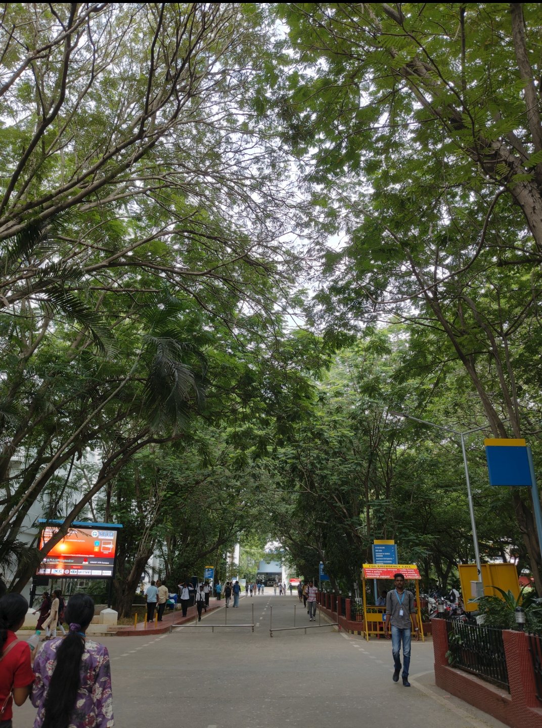 SRM Institute of Science and Technology